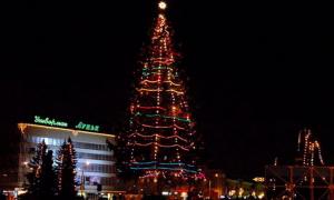 Головну ялинку міста «запалить» Святий Миколай