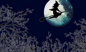 Румунські відьми, незадоволені податковим кодексом, наклали закляття на уряд