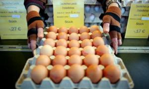 Україна детальніше перевірятиме продукти з Німеччини через діоксин