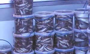 На Завокзальному ринку продавали неякісні оселедці