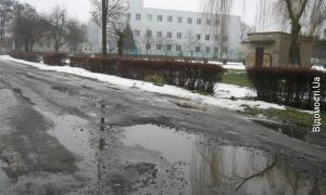 Жителі вулиці Боженка погрузли у болоті та глибоких ямах