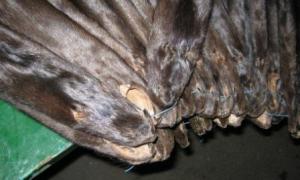 На Ягодині затримали контрабанду норкових шкур