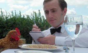 Британець відкрив готель для курей