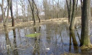 Центральний парк Луцька, дитячу залізницю і понад 80 житлових будинків цьогоріч може підтопити Стир