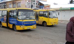 Луцька влада веде діалог із перевізниками про GPS-навігацію та обладнання автобусів пандусами