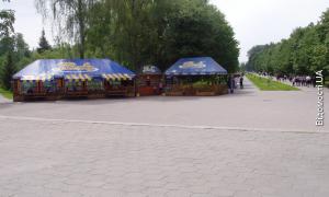 За світло у Центральному парку Луцька попросять заплатити приватний бізнес 