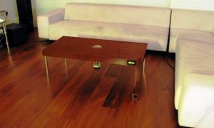 Меблі ловлять мух, комарів і мишей	