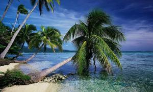 Типова квартира в Києві коштує як тропічний острів