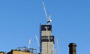 У лондонському хмарочосі на 72 поверсі оселилося лисеня