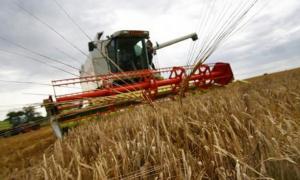 Міністр: пальне для сільгоспвиробників буде дешевшим