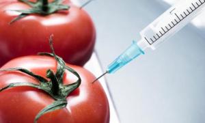 ГМ-продукція за 15 років розповсюдилася майже по всьому світу