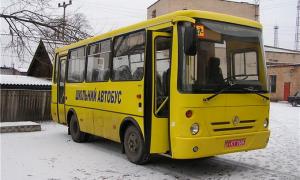 З держбюджету придбають 266 шкільих автобусів	