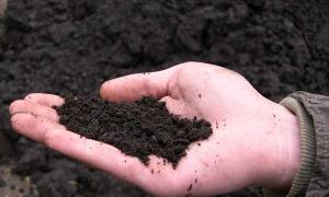 На Волині продовжують вилучати землю у громадян