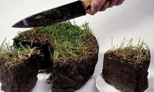 Рада не продовжила мораторій на продаж земель до 2015 року