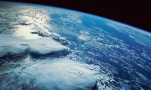 Вчені прогнозують Землі масове вимирання видів