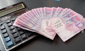 На Волині в лютому до держбюджету зібрано на третину більше, як торік