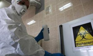 ЗМІ: В Україну повертається свинячий грип