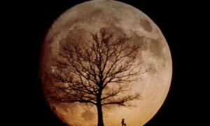 Вчені створили найдетальніше фото невидимої для нас сторони Місяця