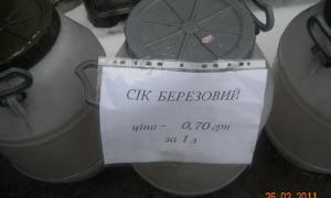 Лісівники на суботнику прибирали сміттєзвалища і збирали березовий сік