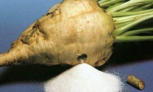 На Волині вже почали сіяти цукрові буряки 