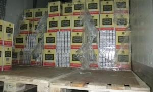 Волинські прикордонники зловили німців, які везли контрабандні цигарки