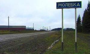 Росіяни встановлять сосновий пам’ятник прибульцям