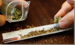 У Луцьку затримали циганку, в якої «травку» купувала чи не вся молодь міста