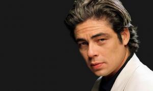 Дочка рокера Рода Стюарта вагітна від Бенісіо Дель Торо 