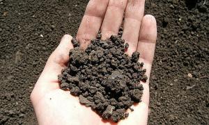 Прокуратура: Місцеві чиновники розбазарюють землю