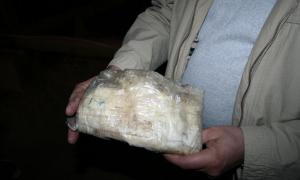 На Волині СБУ знищила наркотиків на понад 10 мільйонів гривень