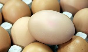 Передумов для подорожання яєць нема