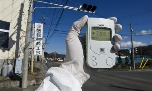 Грінпісівці розкритикували дії японської влади і компанії ТЕРСО 