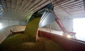 Обмеження на експорт зернових діятимуть до липня