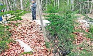 В естонському лісі невідомі викинули тонну ковбаси