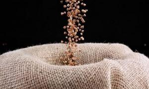 В Україну прибула перша партія китайської гречки