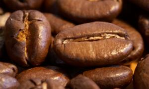 Ціна кави може піднятися на 40% 