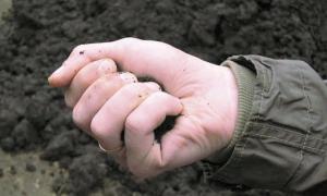 Луцькі земельники гальмують процес приватизації землі