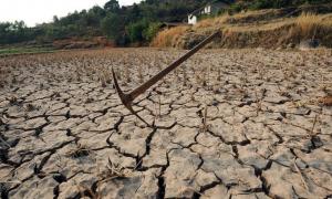 Європі загрожує рекордна за 100 років посуха