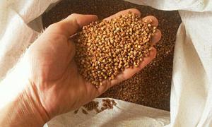 До Дня Перемоги в магазини завезуть китайську гречку по 18 гривень