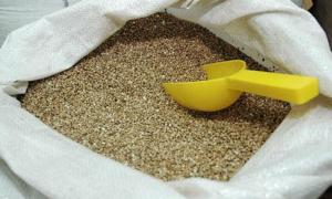 Влада не витратила на китайську гречку жодної копійки