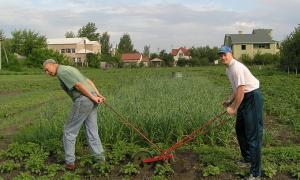 Профспілки перевірять, чи можна отримати землю під городництво