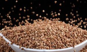 Урожай вітчизняної гречки чекають вже у липні