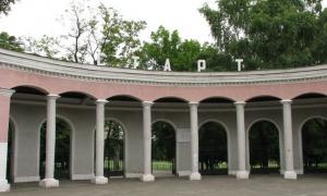 Азаров зібрався ремонтувати стадіон, на якому його син хоче будуватися