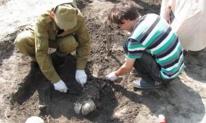 З розкопками у Володимирі допоможуть поляки 