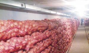 Невдовзі на Волині почнуть будувати сучасні овочесховища