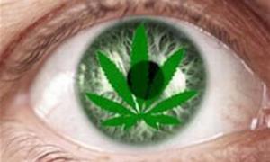 ООН пропонує не боротися з наркотиками, а легалізувати їх