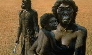 Вчені назвали самок австралопітеків блудними дочками 