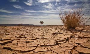 З кожним роком літо ставатиме спекотнішим