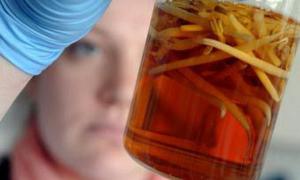 Джерело кишкової інфекції в Європі нарешті встановили