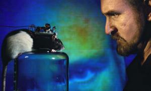 В основі потягу до солодкого й наркотичної залежності лежить одна модель